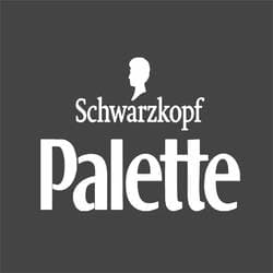КРАСКА ДЛЯ ВОЛОС PALLETE БЛОН 10-0